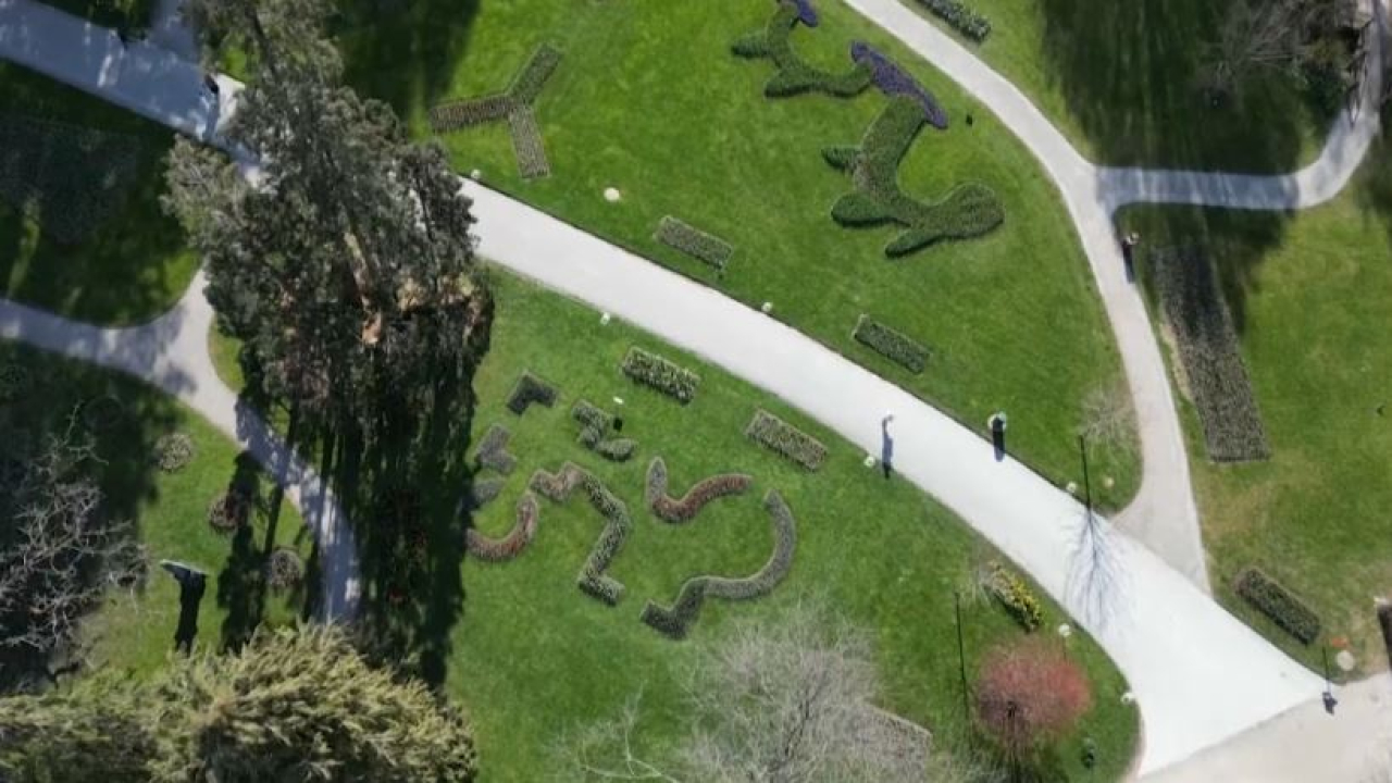 Фестиваль тюльпанов стартовал в Швейцарии