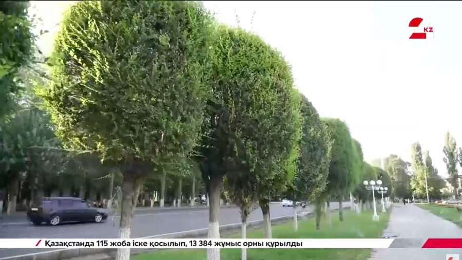 Тараз таза қала ма?