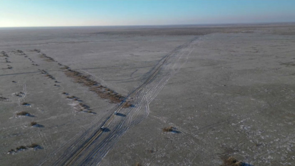 Казахстан продолжает лесонасаждение на высохшем дне Аральского моря