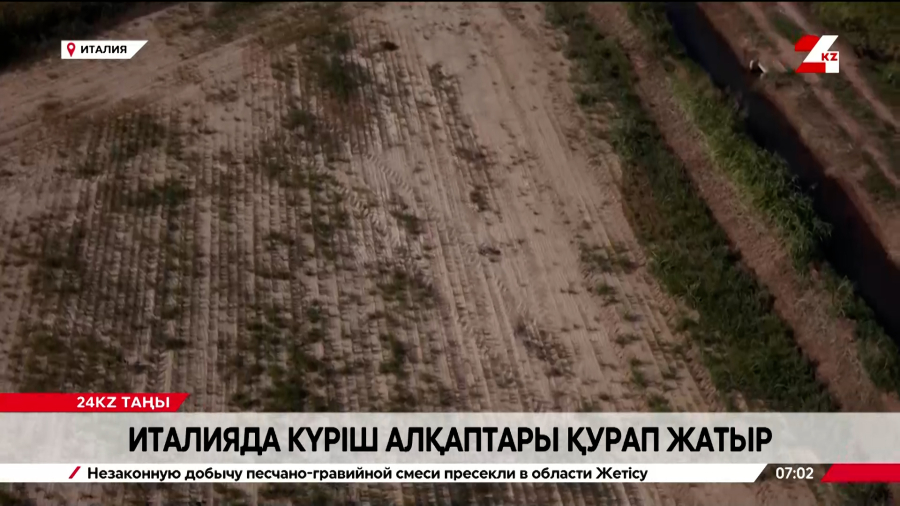 Италияда күріш алқаптары қурап жатыр
