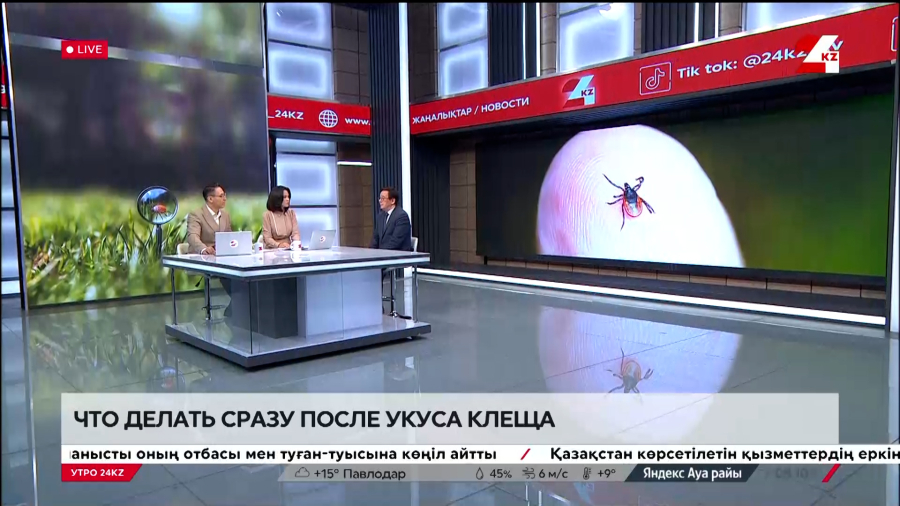 Что делать сразу после укуса клеща. Альберт Аскаров