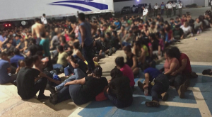 343 мигранта обнаружили в брошенном трейлере в Мексике