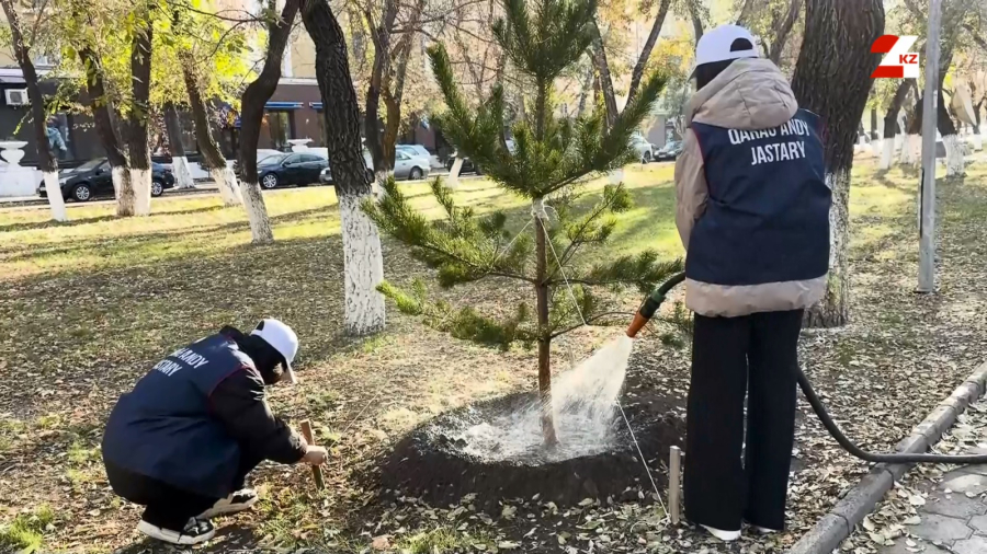 Не ждут акимат – убирают сами. Карагандинцы взяли экологию города в свои руки