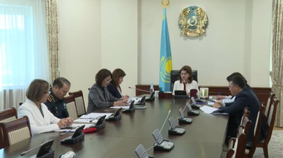 Аида Балаева білім беру және балалардың жазғы демалысы мәселелерін қарады