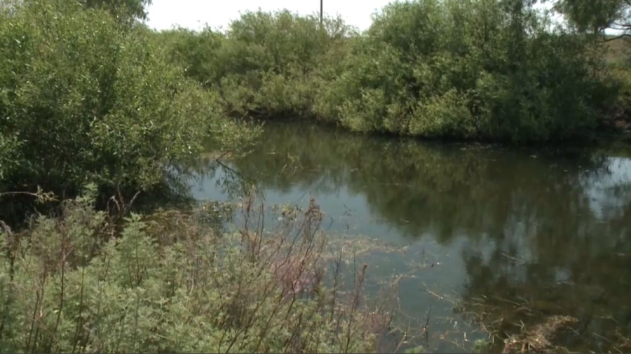 Число рыбных хозяйств в Актюбинской области выросло вдвое