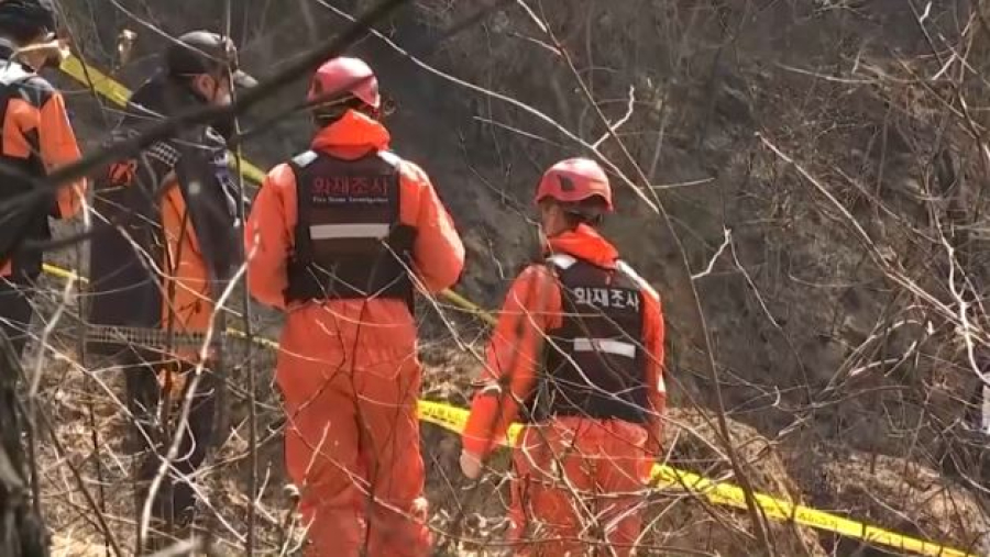 Лесные пожары в Южной Корее: число погибших возросло до 31