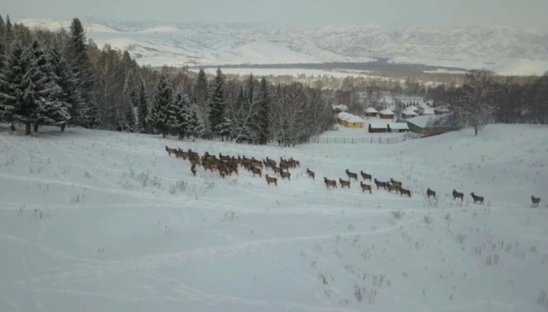 3 марта – Всемирный день дикой природы