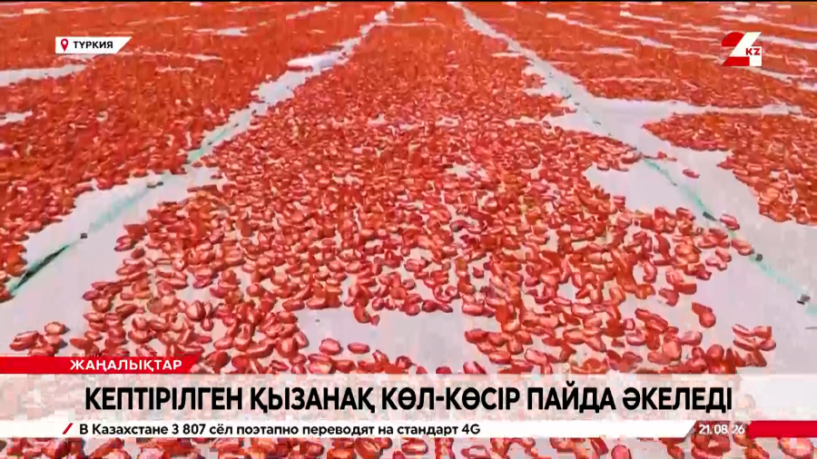 Түркия кепкен қызанақты сыртқа сатудан 61 млн доллар пайда көрді