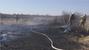 Количество пожаров увеличивается в Кызылординской области