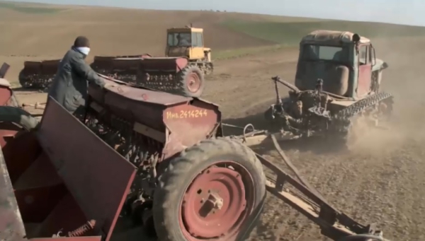 Посевы зерновых и зернобобовых культур сократят на 115 тысяч га