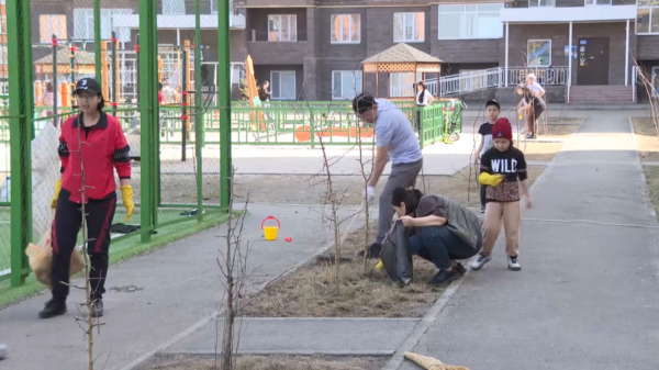 Көкшетауда экологиялық акцияға 4 мың адам үн қосты