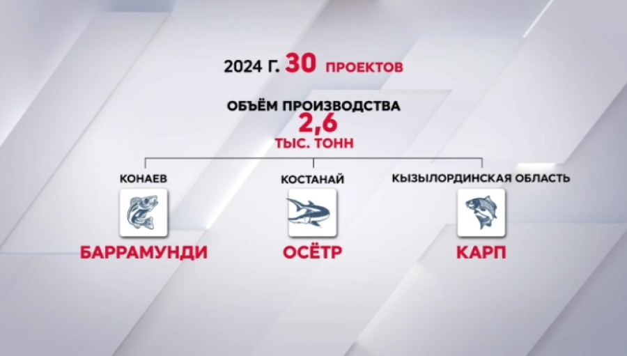 В Казахстане запустят 12 проектов по производству рыбы