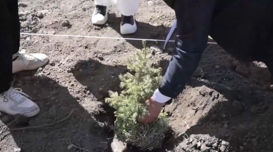 Молодёжь ВКО озеленяет названные в честь героев-фронтовиков сёла