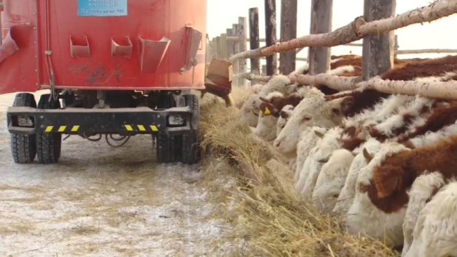 Какие темы затронут на форуме РК и РФ в Уральске