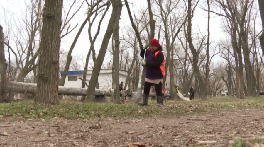 Эколагерь предлагают открыть активисты Жамбылской области