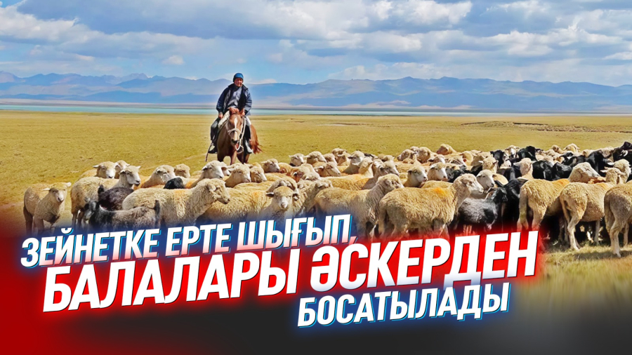 Малшыларға Үкімет тағы қандай жеңілдікті уәде етіп отыр?