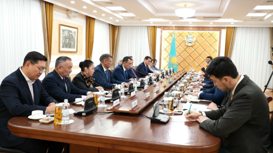 Сенатта «Ұлттық мүдде» диалог алаңының отырысы өтті