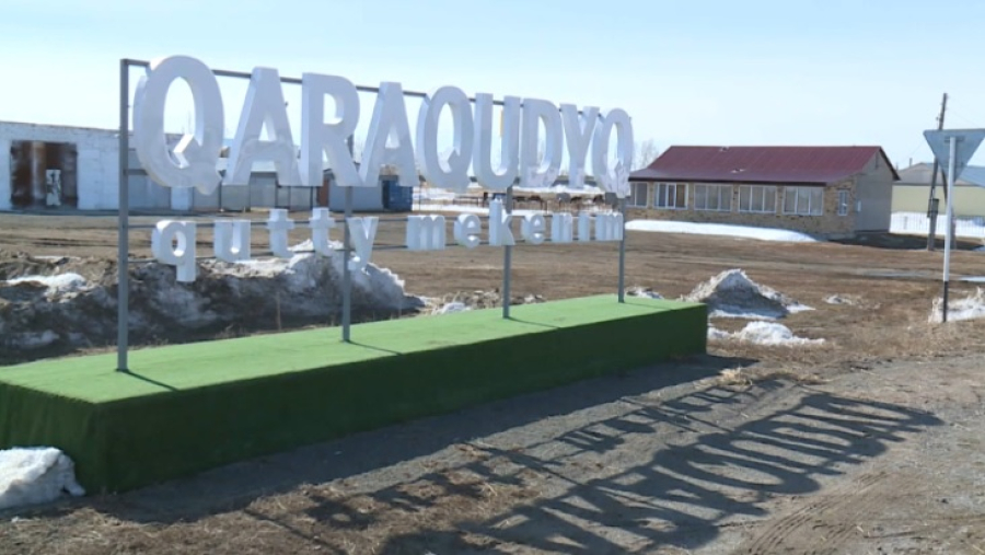 Проект «Трезвые сёла» реализуют в Карагандинской области