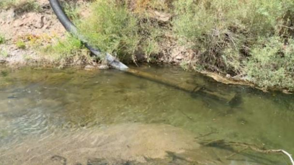 Елде вегетациялық кезең аяқталды