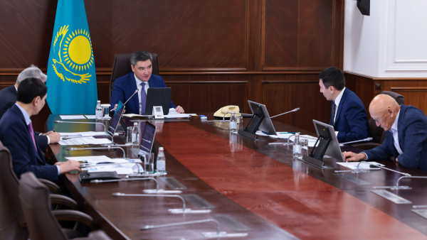 Елімізде отандық өндірушілерді қолдау көлемі ₸1 трлн-нан асты