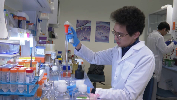 Елімізде сүт безі қатерлі ісігін ерте анықтауға ЖИ көмектеседі