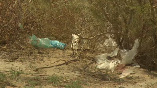 Кызылординские экологи следят за чистотой при помощи космомониторинга