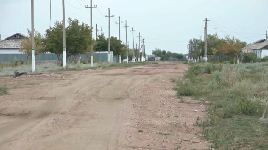 Павлодар облысында үй құстары қырылып жатыр