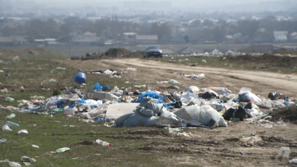 Үлкен Алматы айналма автожолының бойы тазаланды