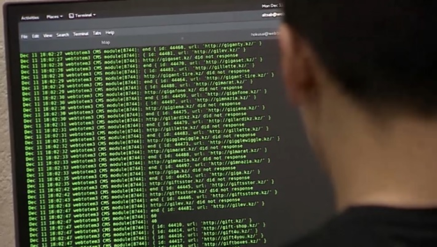 Майнерам – зелёный свет