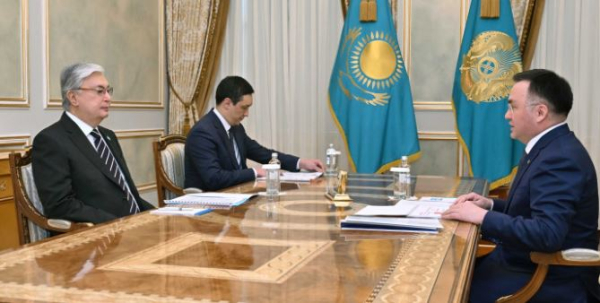 Глава государства принял председателя Верховного суда Асламбека Мергалиева