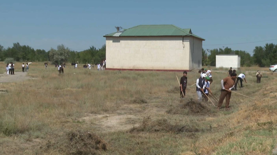 Таразда аурухана аумағы қоқыстан тазартылды