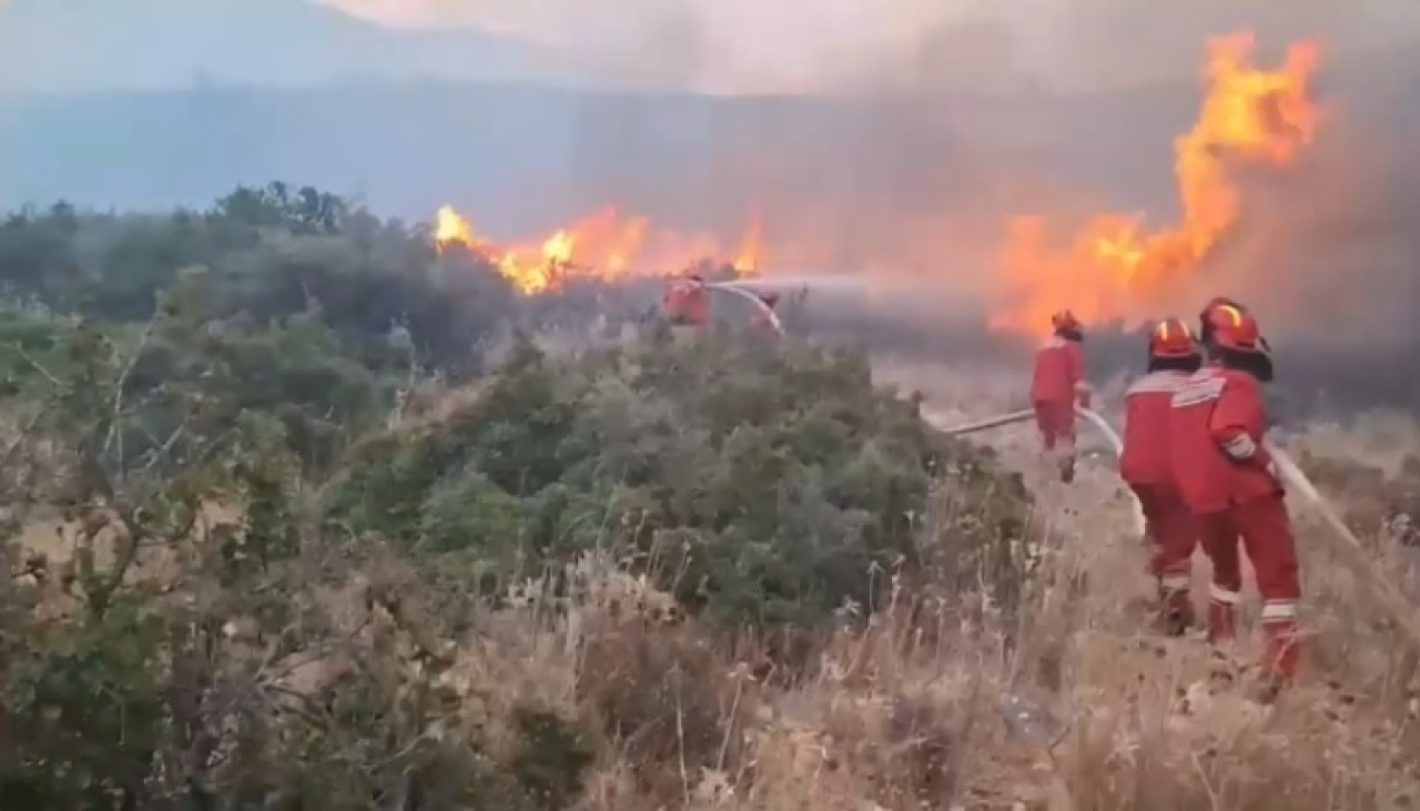 Албания запросила помощь ЕС в тушении лесных пожаров