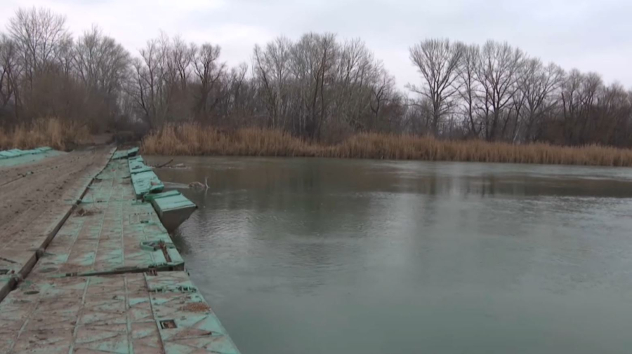 Павлодар облысында жабайы аң көбейді