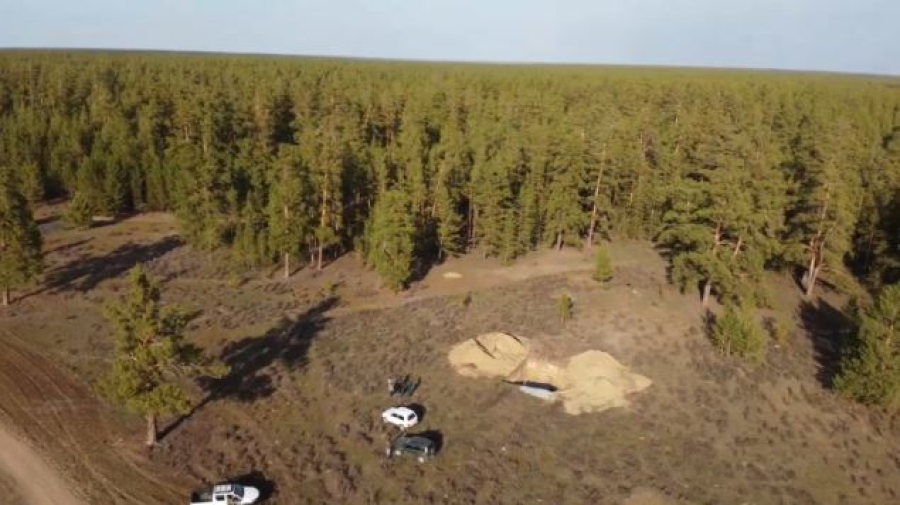 Более 3 млн деревьев высаживают в Казахстане