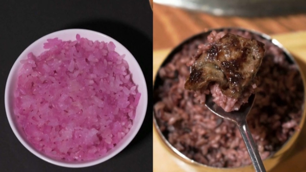 Новый продукт питания создали корейские ученые