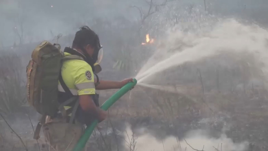 Мексиканың 23 штатында орман отқа оранды