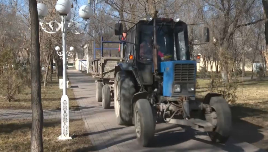 Жамбыл облысында «Таза Қазақстан» аясында 200 мыңға жуық көшет егілмек