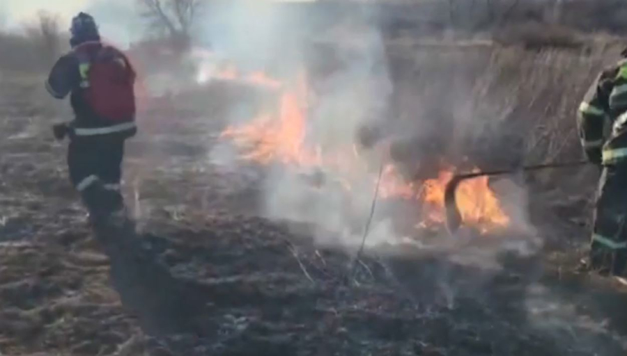 В Зайсанском районе ВКО сгорело 2 тысячи гектаров камыша