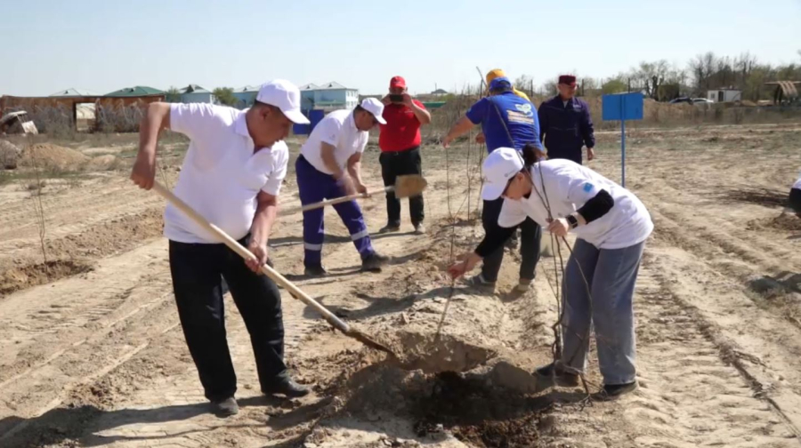 Масштабную уборку в рамках экоакции «Чистый четверг» провели в Жанаозене