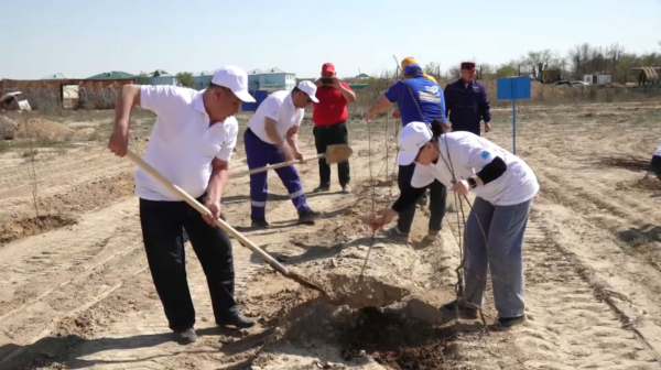 Масштабную уборку в рамках экоакции «Чистый четверг» провели в Жанаозене