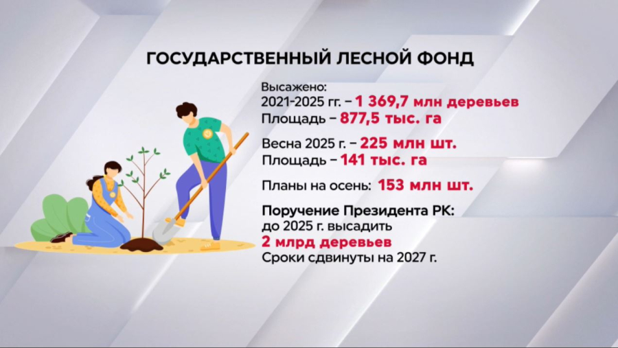 В гослесфонде за 5 лет высадили свыше 1,3 млрд деревьев