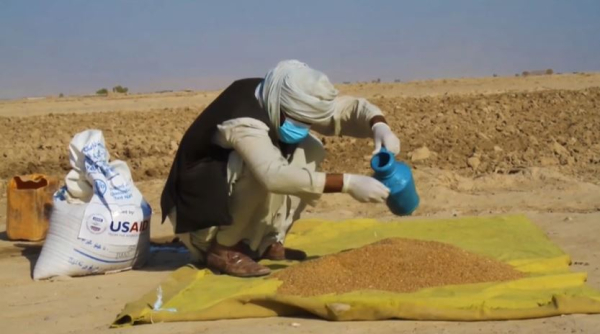 Число голодающих в мире увеличивается