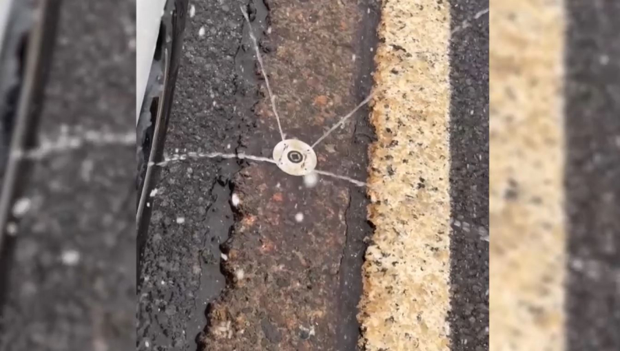 Әлем көктайғақпен қалай күреседі?