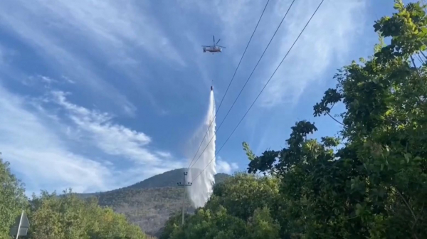 Ресейдің Краснодар өлкесінде орман өрті сөндірілді