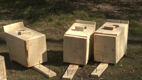 Қонаевта жастар мыңнан астам құс ұясын орнатты