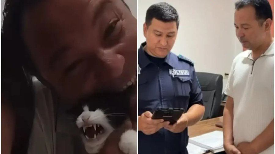 Мужчину оштрафовали за жестокое обращение с кошкой во время TikTok-эфира