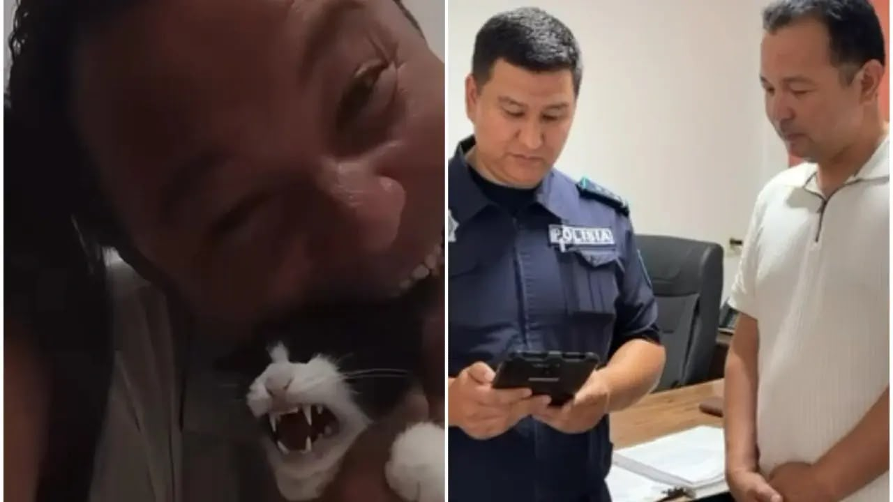 Мужчину оштрафовали за жестокое обращение с кошкой во время TikTok-эфира