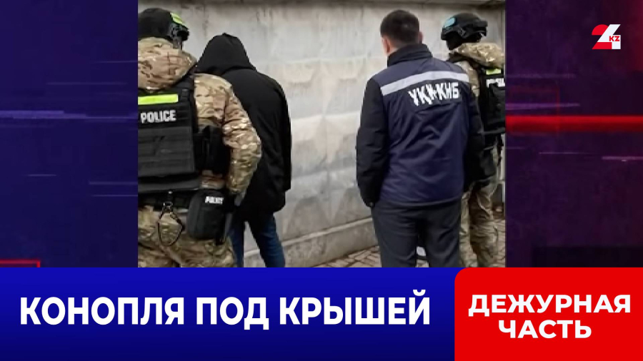 Подпольная фитолаборатория в Алматы: спецназ накрыл наркобизнес