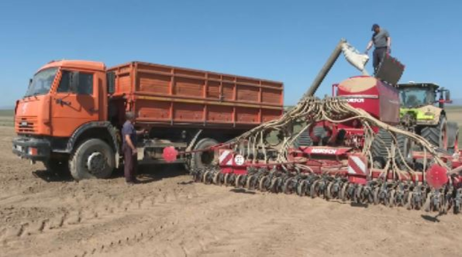 Жетісу облысында егіс науқаны қызу жүріп жатыр