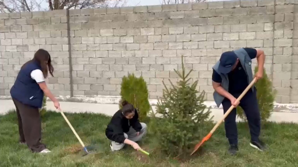 Члены партии Amanat провели акции по благоустройству